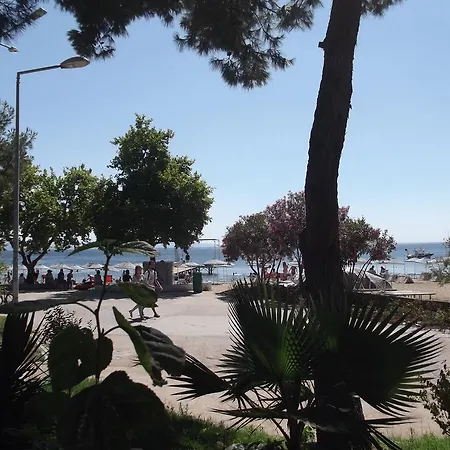 Belgin 3* 에르데크