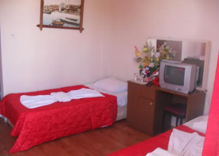 Belgin 3* إيرديك